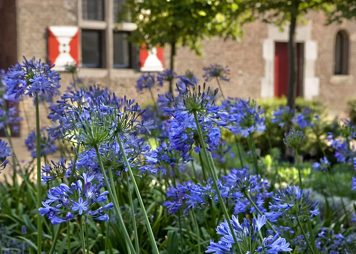 Hotel Kruisherenhotel - Oostwegel Collection, Member Of Design 5*